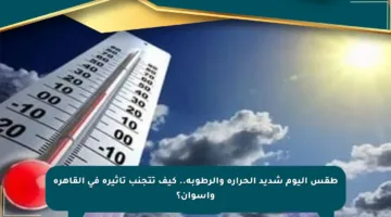 طقس اليوم شديد الحرارة والرطوبة.. كيف تتجنب تأثيره في القاهرة وأسوان؟